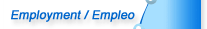 Empleo / Employment